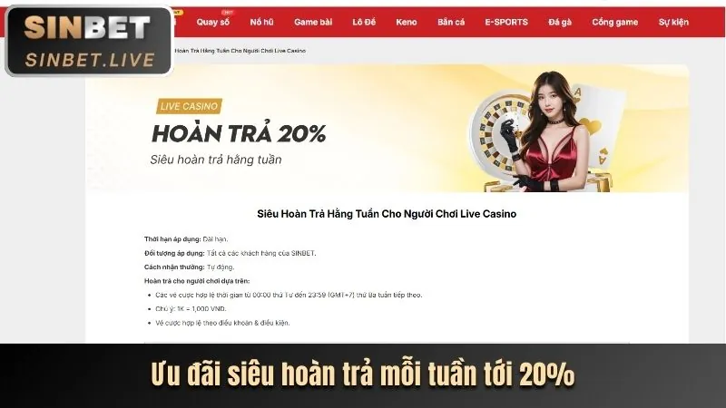 Điền thông tin đăng ký vabet